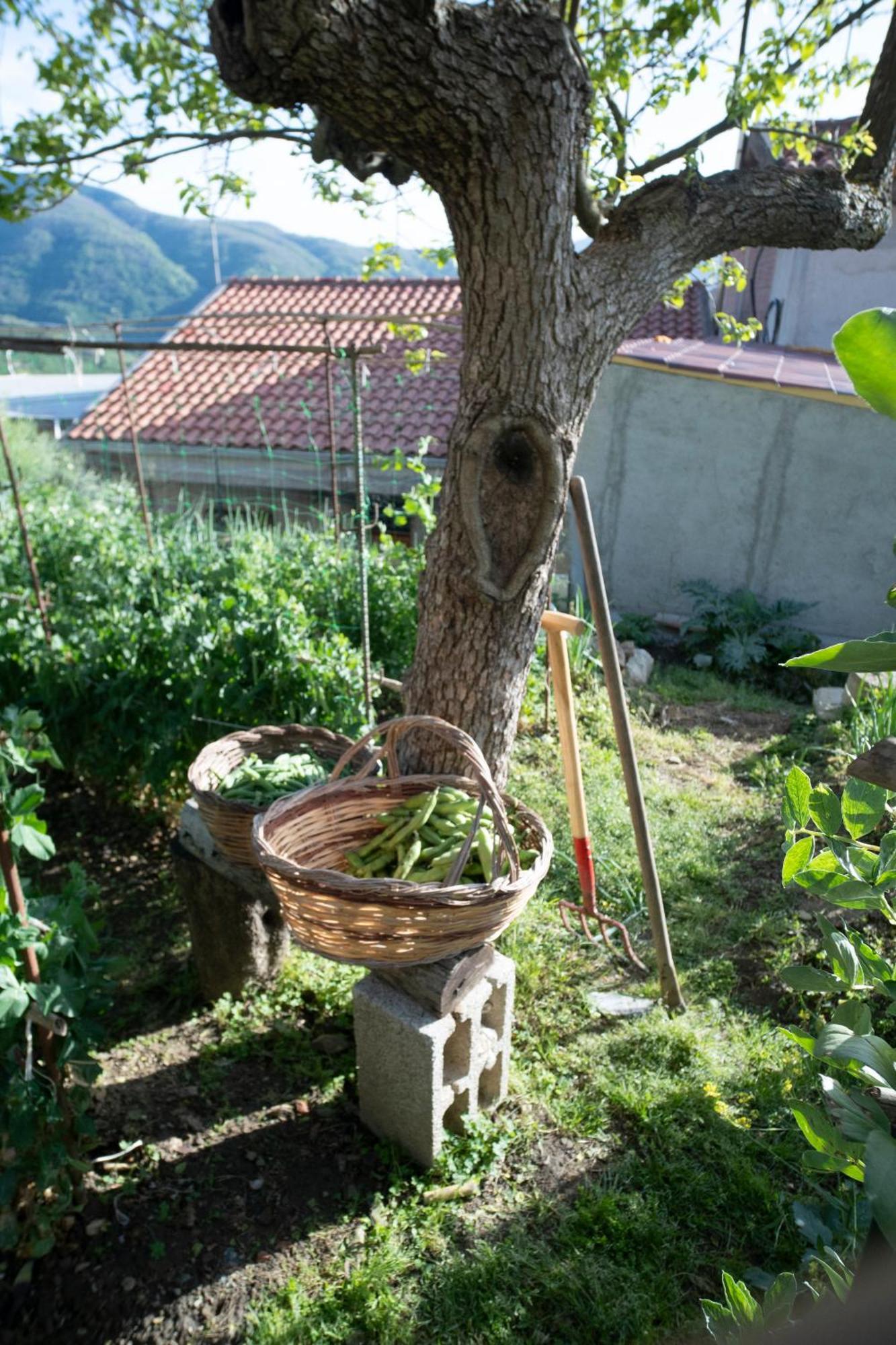 Borgo Maria Rosa *