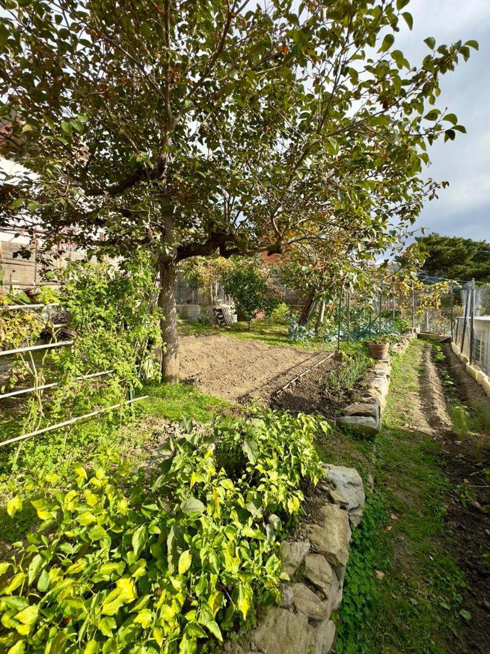 Holiday home Borgo Maria Rosa